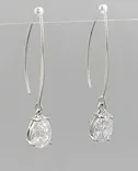 Drop Long Fishhook Earrings